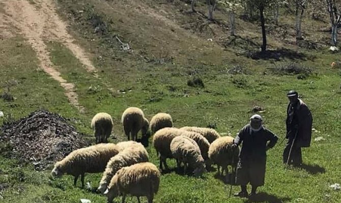 Yaylacı göçerler dönüş yolunda