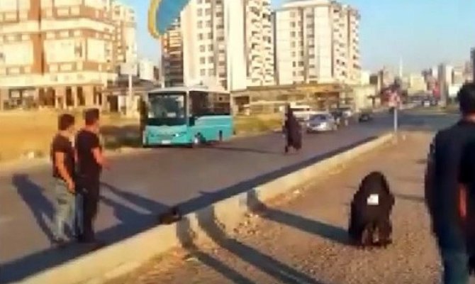 Kahramanmaraş'ta paraşütçü kara yoluna indi