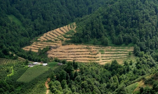 Bakanlık çığa karşı güvenli bölgeler belirledi