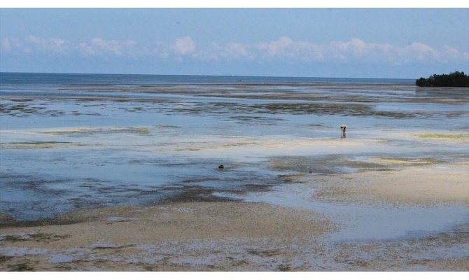 Ekmeğini gelgitten kazananların adası: Zanzibar