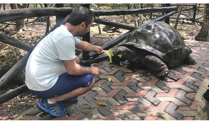 Dev kaplumbağalarıyla ünlü eski köle adası: Changuu