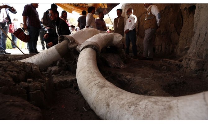 Meksika'da 15 bin yıllık mamut tuzakları bulundu