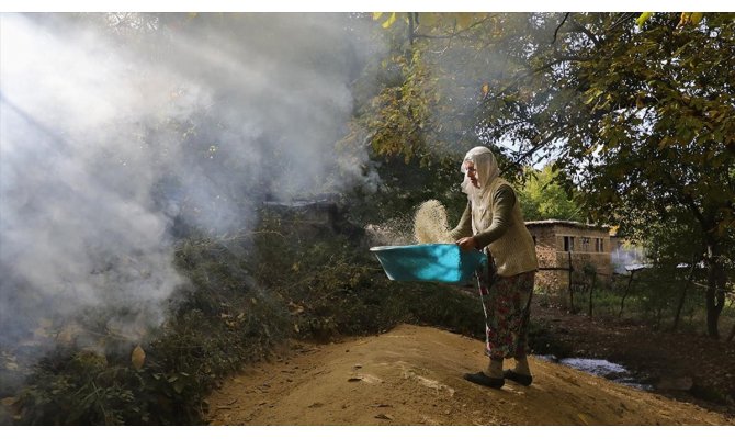 Kursunç pirinci 150 yıllık değirmende öğütülüyor