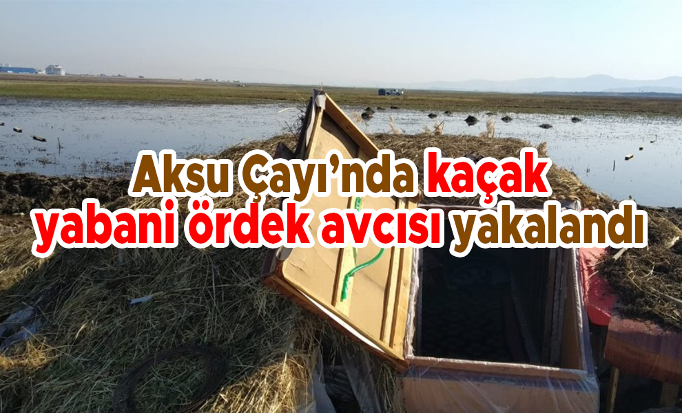 Aksu Çayı'nda kaçak yabani ördek avcısı yakalandı