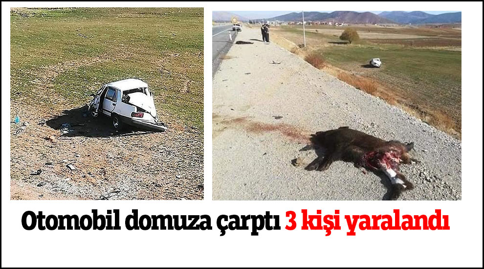 Otomobil domuza çarptı 3 kişi yaralandı