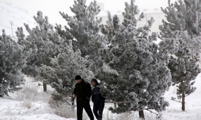 Doğu Anadolu’da soğuk hava: Göle - 14