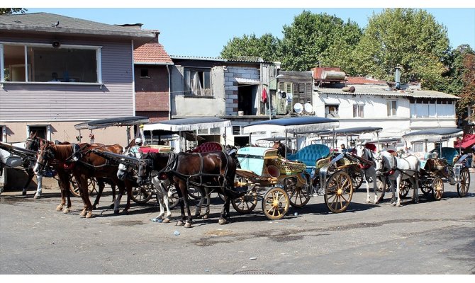 İstanbul Valisi Yerlikaya: Adalar'da faytonlara at koşulması 3 ay süreyle durduruldu