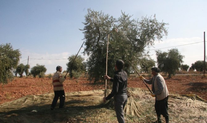 Kilis’te bulundu: 4 bin yıl öncesine ait