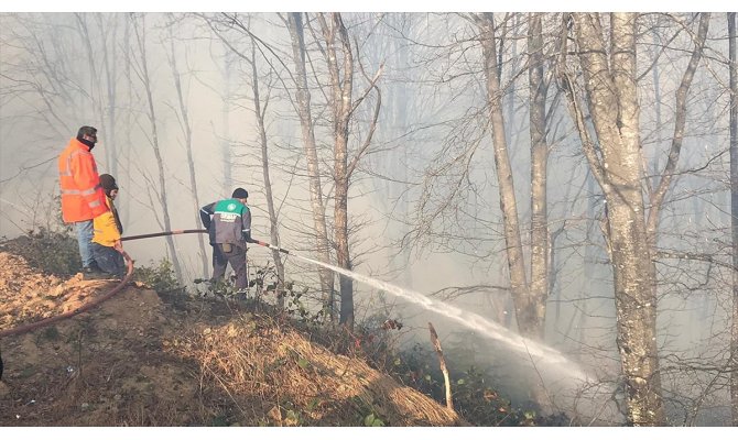 Karadeniz'de iki günde 150 noktada örtü ve orman yangını çıktı