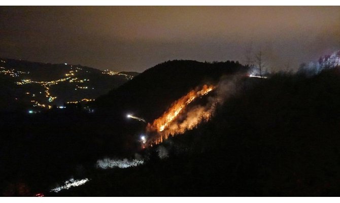 Trabzon'da 100 dönümlük alanda örtü yangını çıktı