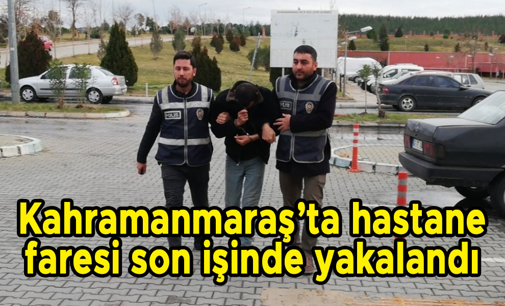 Kahramanmaraş'ta hastane faresi son işinde yakalandı