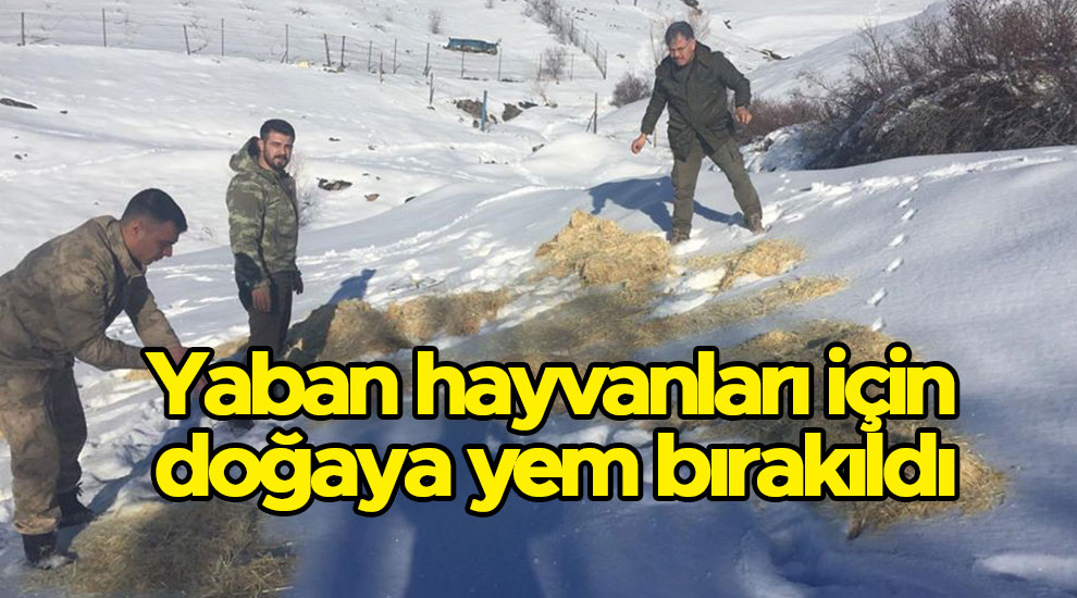 Yaban hayvanları için doğaya yem bırakıldı