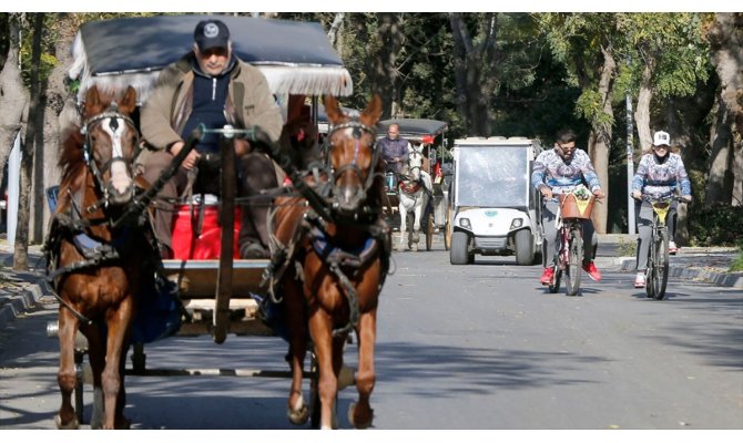 İBB, Adalar'daki faytonların plakalarını ve atları satın alacak