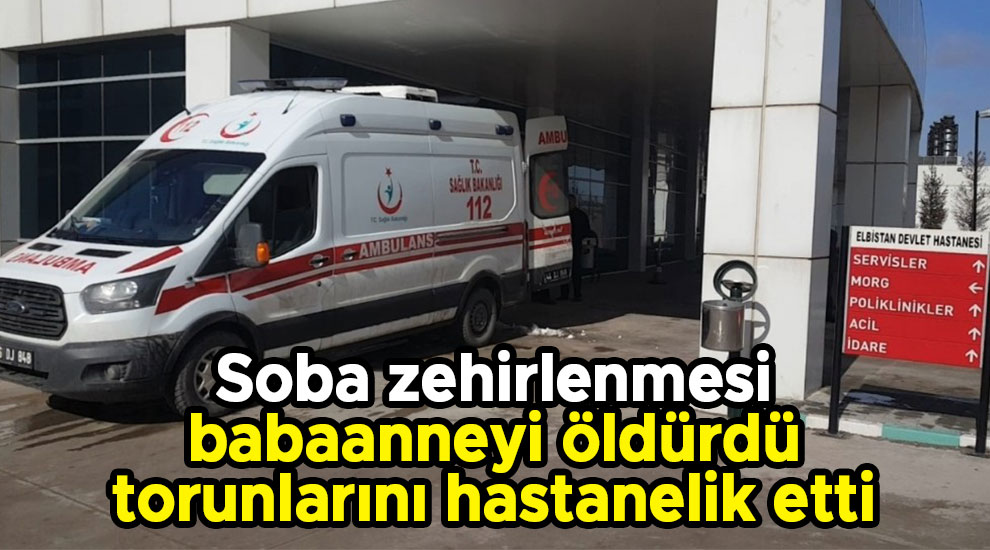 Soba zehirlenmesi babaanneyi öldürdü torunlarını hastanelik etti