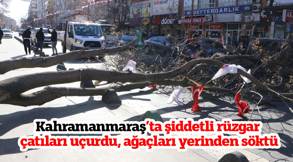 Kahramanmaraş’ta şiddetli rüzgar çatıları uçurdu, ağaçları yerinden söktü