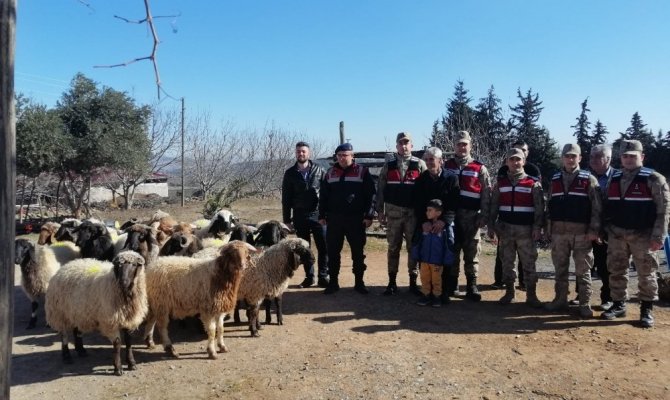 Kahramanmaraş’ta hayvan hırsızı 3 kişi serbest bırakıldı