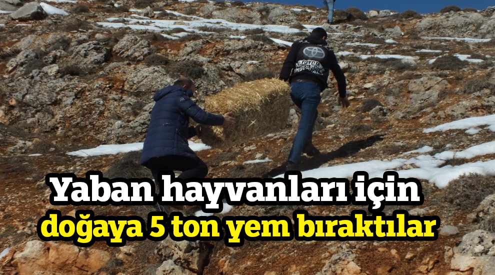 Yaban hayvanları için doğaya 5 ton yem bıraktılar