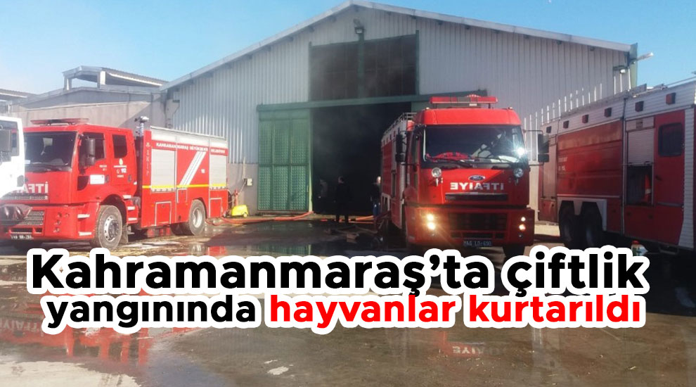 Kahramanmaraş’ta çiftlik yangınında hayvanlar kurtarıldı