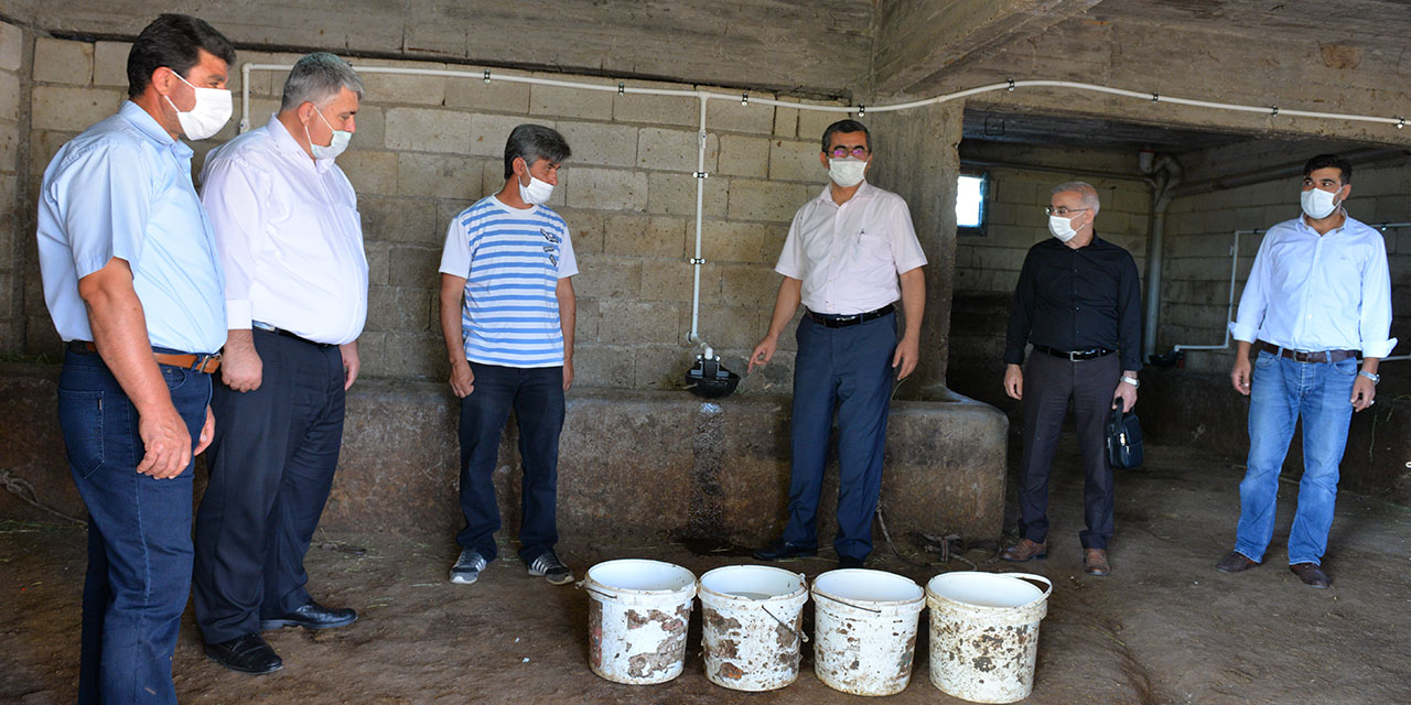 Kahramanmaraş’ta hayvancılık yatırımları artıyor