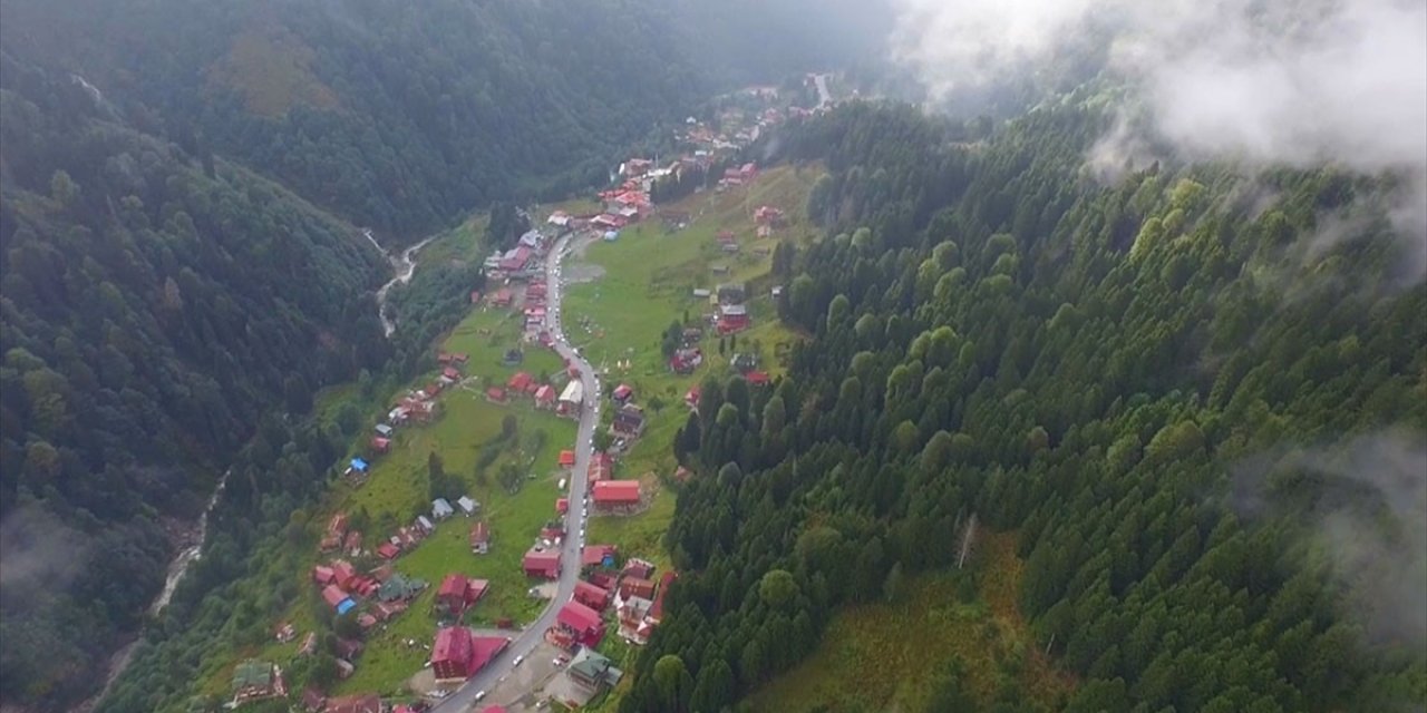 Ayder Yaylasında  Yenileme ve Koruma Projesi devam ediyor