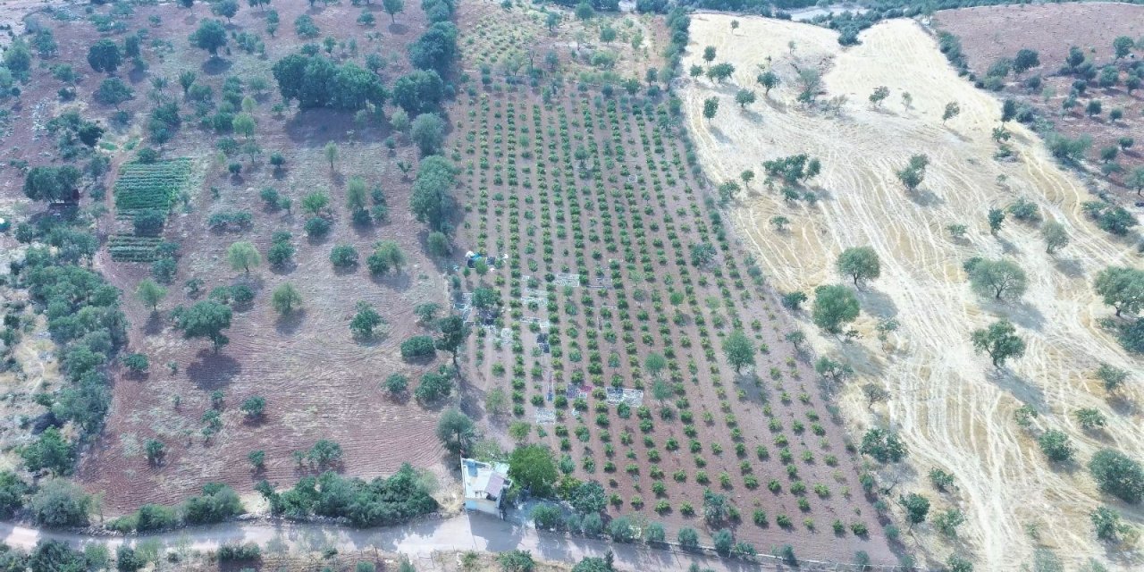 Kahramanmaraş’ta kaçak su kullanan cami görevlisine ceza