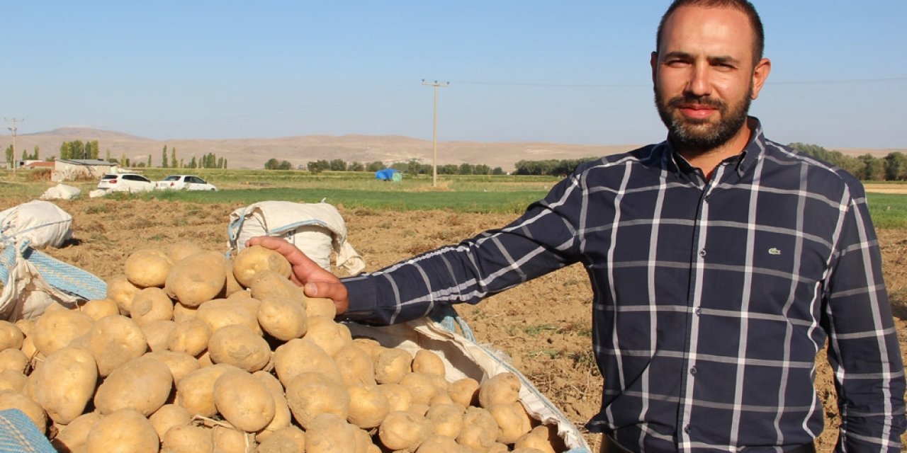 Cipslik patates satış fiyatları üreticisinin yüzünü güldürüyor