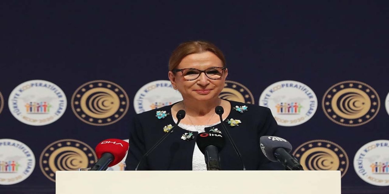 Bakan Pekcan: "Destek verdiğimiz esnaf sayımız 1,1 milyonu aştı"