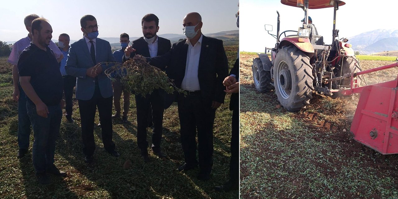 Kahramanmaraş’ta yerfıstığı hasadı yapıldı