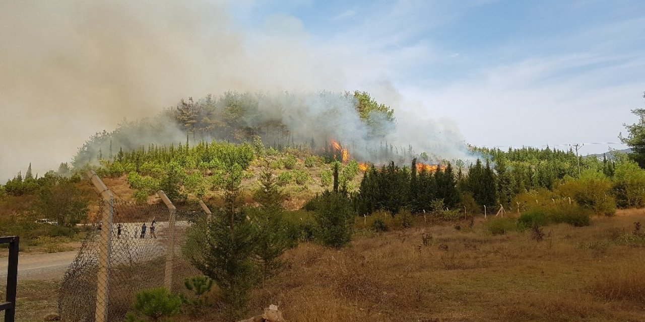 Kahramanmaraş’ta 4 ayrı noktada yangın çıktı