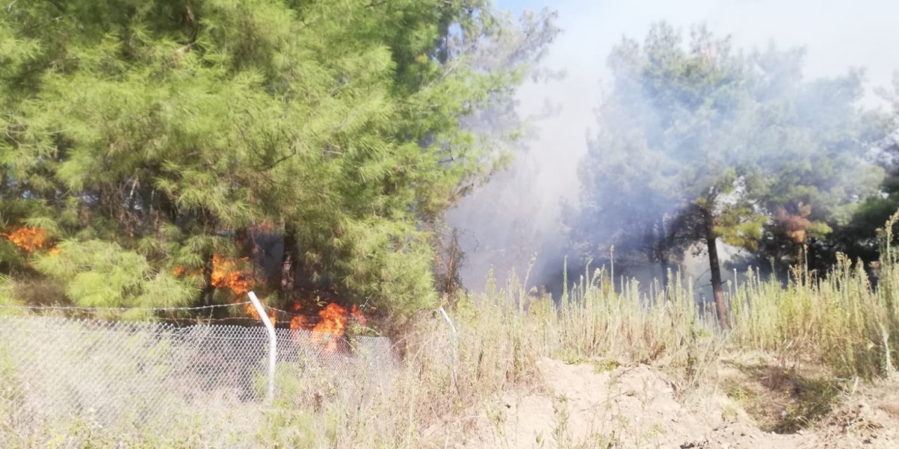 İskenderun’da orman yangını