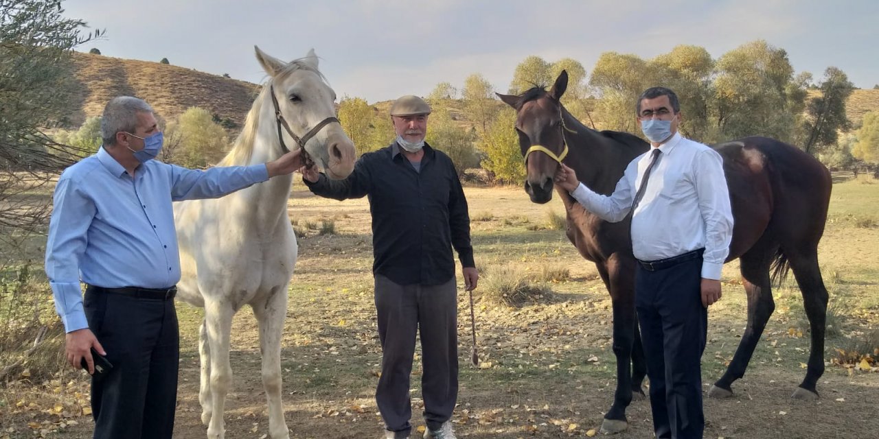 Ünlü yarış atları Göksun’da yetiştiriliyor