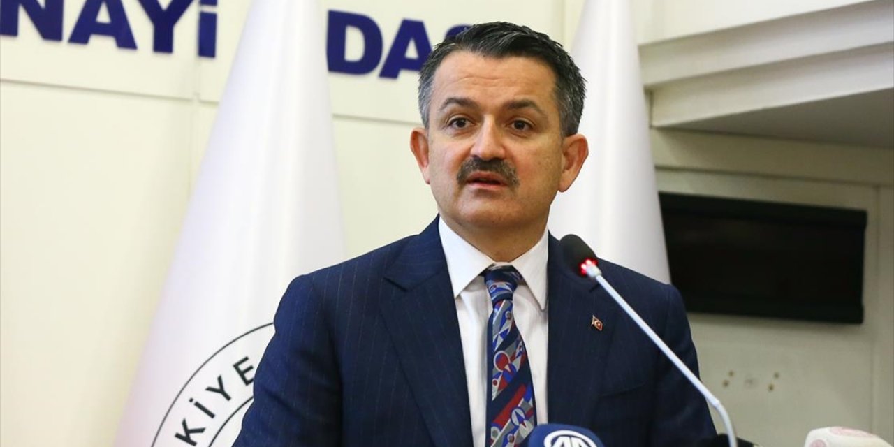 Bakan Pakdemirli: İzmir'de kimse siyaset yapmadı