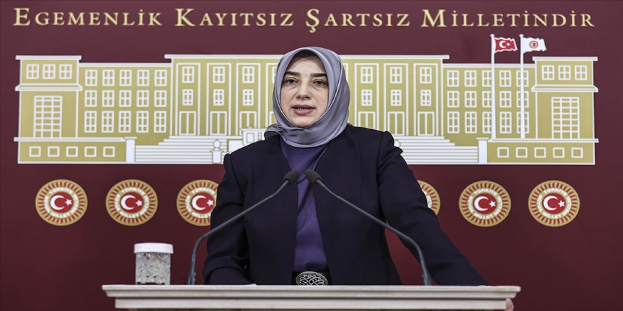 AK Parti Grup Başkanvekili Özlem Zengin'e sosyal medyadan hakarete soruşturma