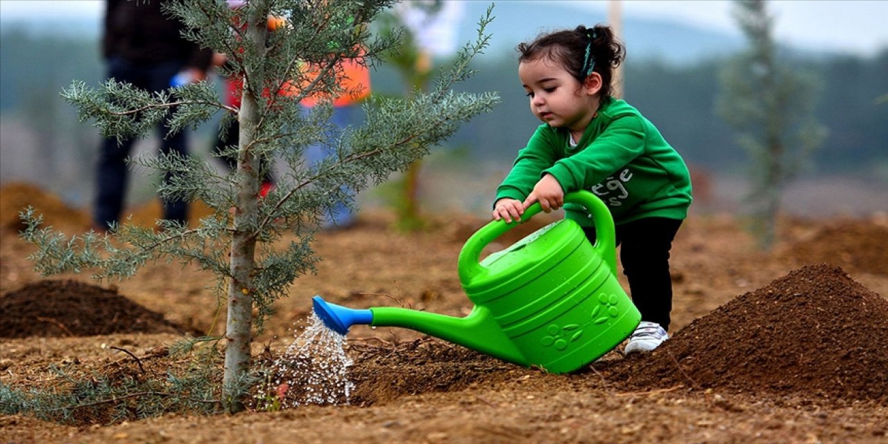 2023'e kadar Türkiye genelinde 1,6 milyar fidan toprakla buluşacak