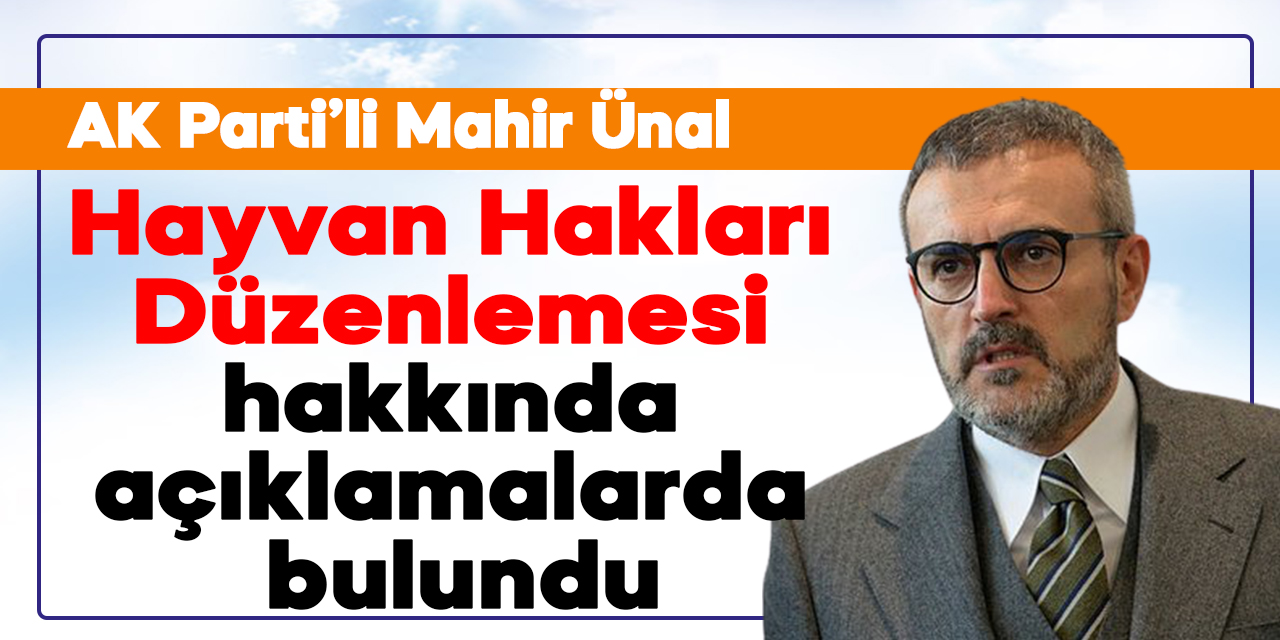 Mahir Ünal, Hayvan Hakları Düzenlemesi hakkında açıklamalarda bulundu