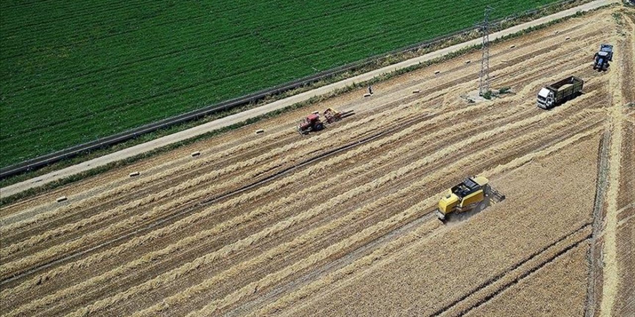 Bakan Pakdemirli: Tarımsal destek ödemeleri bugün başlıyor