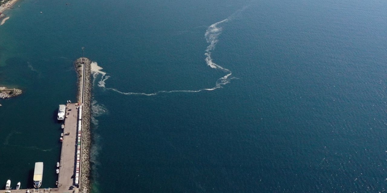 Marmara Denizi'nde toplanacak miktarda müsilaj olmadığı için dün de temizleme çalışması yapılmadı