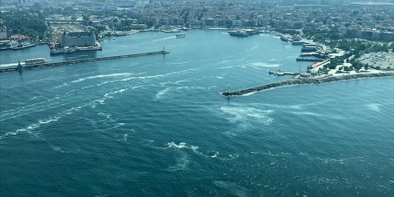 TÜBİTAK, müsilaja karşı sürdürülebilir çözümler sunacak çalışmaları destekleyecek