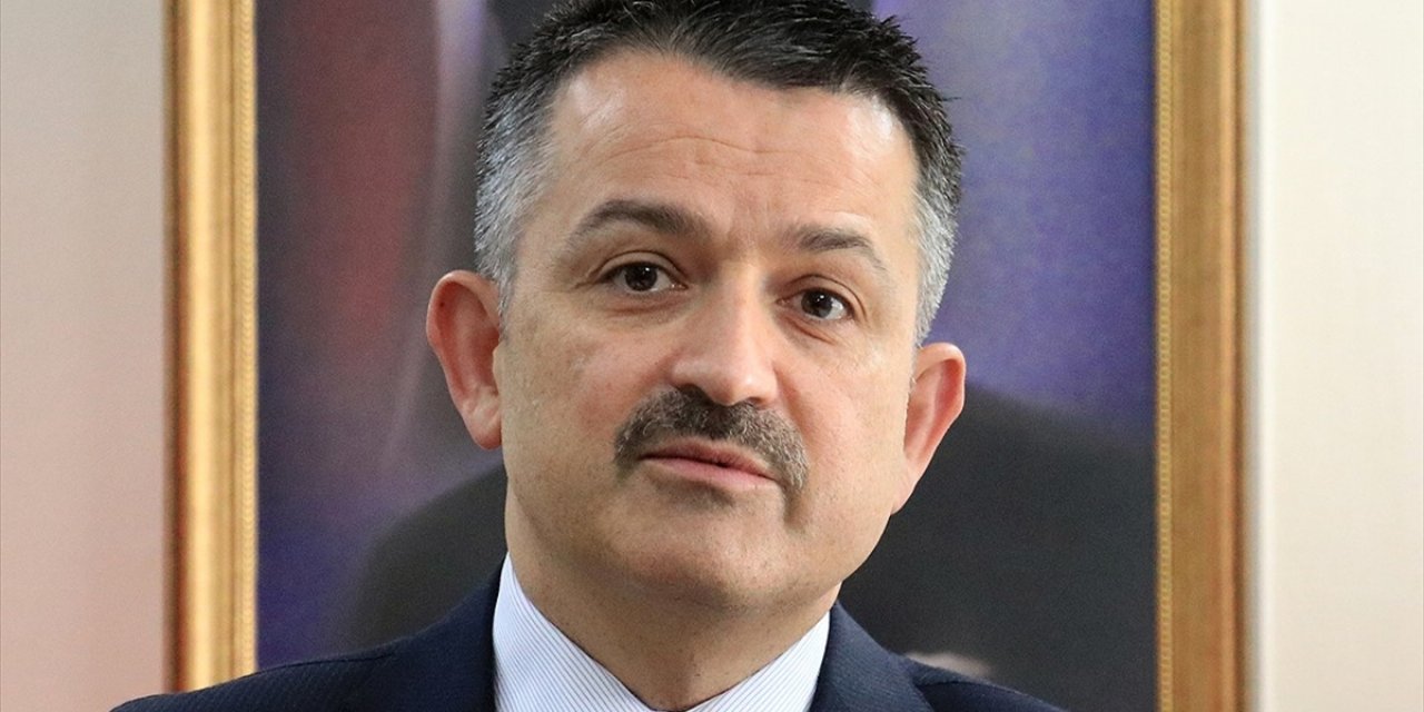 Bakan Pakdemirli: Yangınla mücadele eylem planlarımızı küresel ısınma risklerini de göz önüne alarak yeniliyoruz