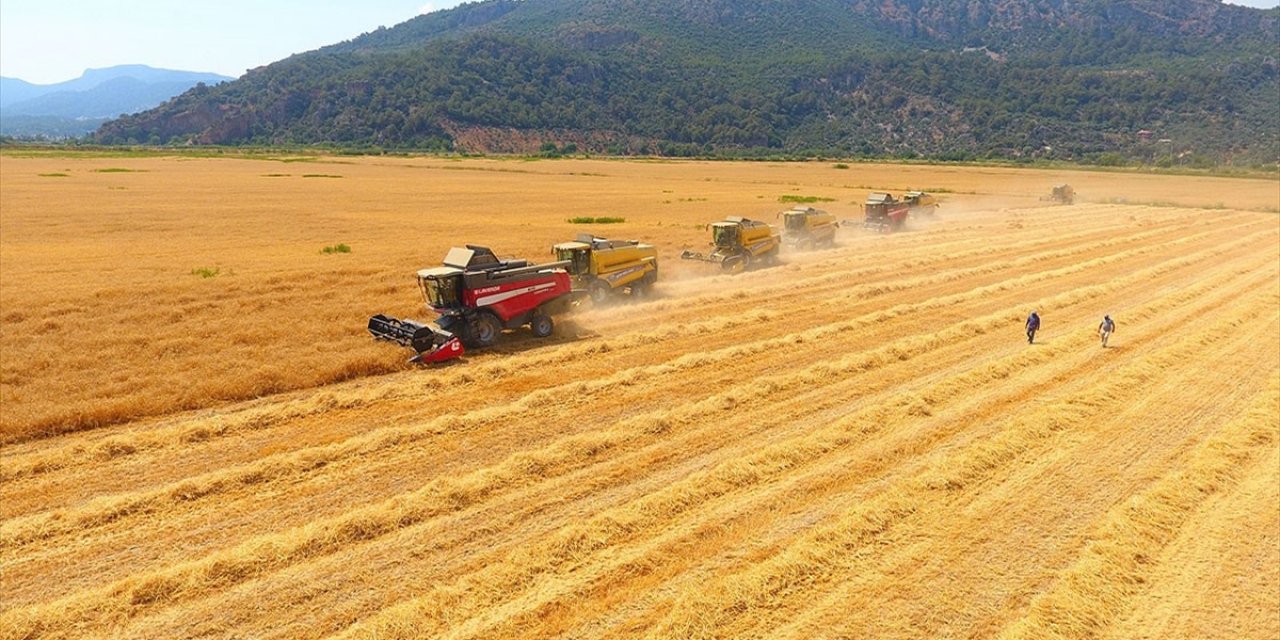 TÜRİB tarımsal ürün endekslerinde işlem hacmi 7,6 milyar lirayı geçti