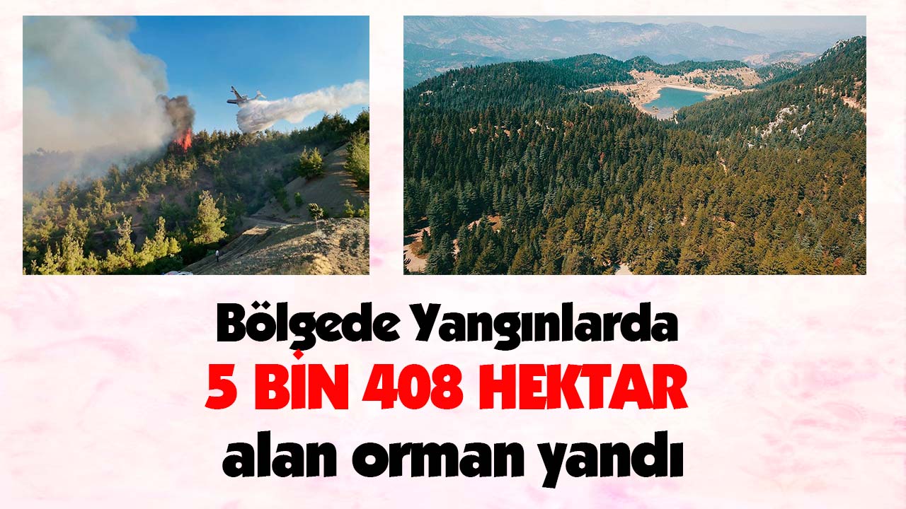 Bölgede Yangınlarda 5 bin 408 hektar alan yandı