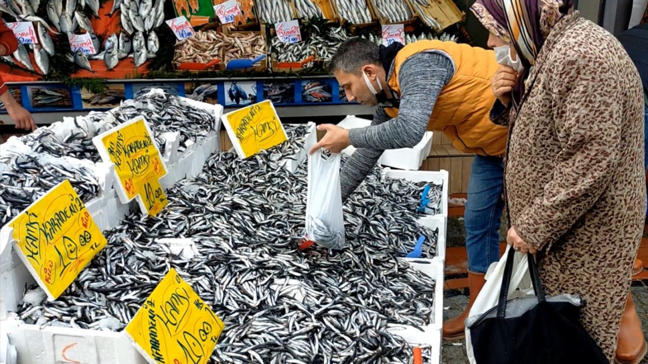 Hamsinin kilosu 10 TL’ye düştü, vatandaşlar kilolarca aldı