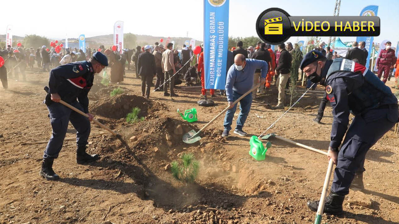 Kahramanmaraş’ta Milli Ağaçlandırma Bayramında 5 bin fidan toprakla buluştu