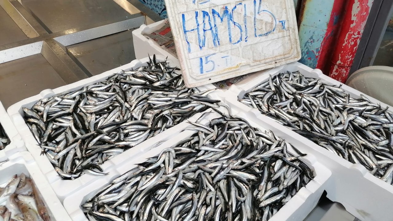 Hava koşulları hamsiyi etkiledi