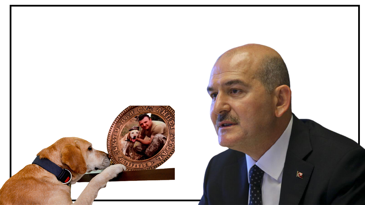 Bakan Soylu’da o fotoğrafı oyladı