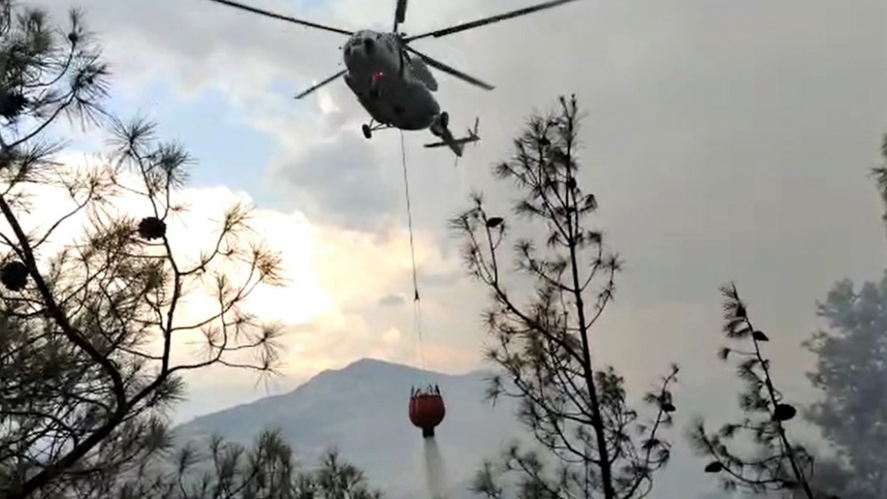 Kahramanmaraş’ta orman yangını! 