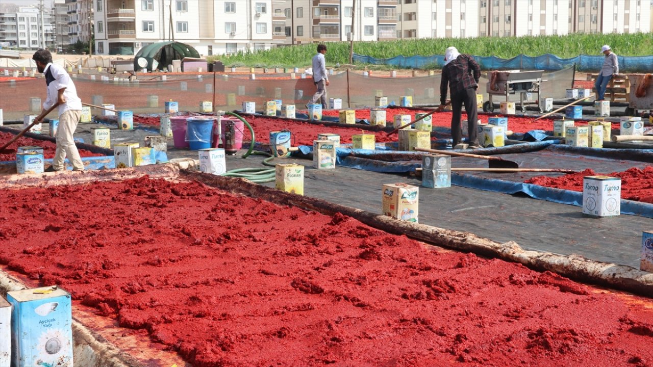 Şanlıurfa'da "isot reçeli" sezonu başladı!