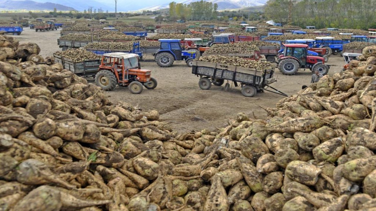 Kahramanmaraş ve 6 ilde 400 bin ton pancar işlenecek!