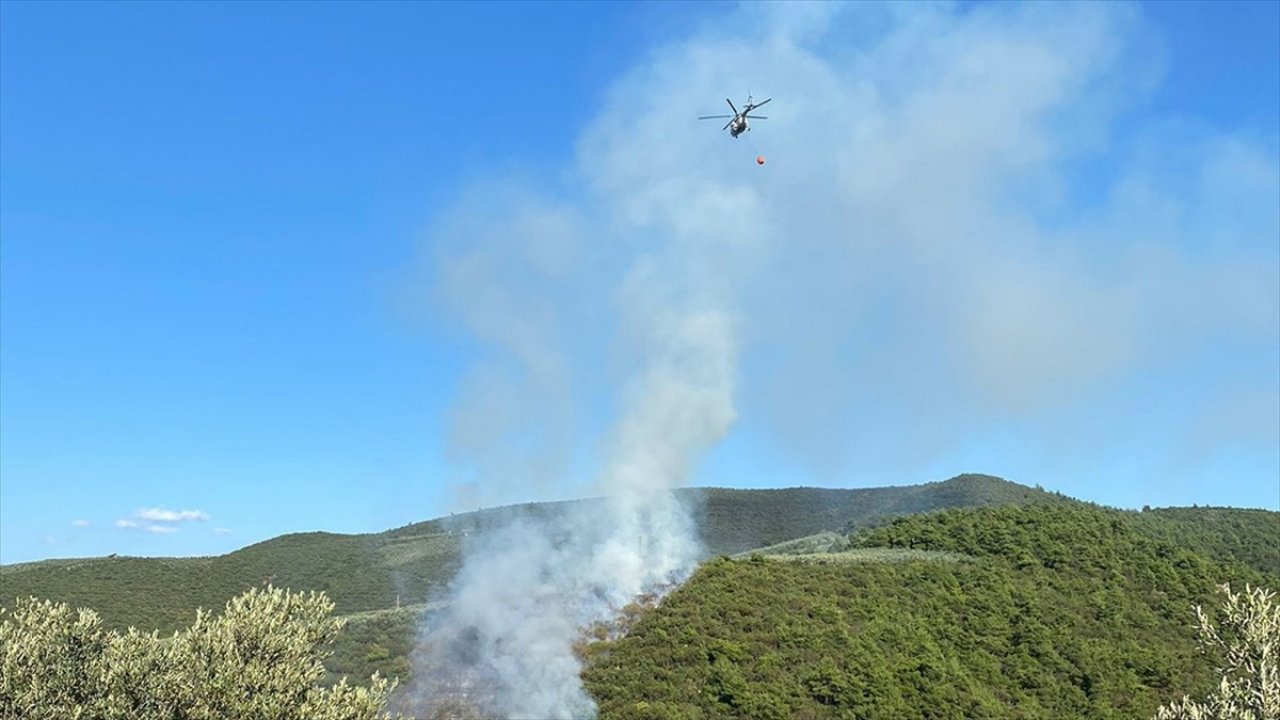 Bursa'da çıkan orman yangınına havadan ve karadan müdahale ediliyor