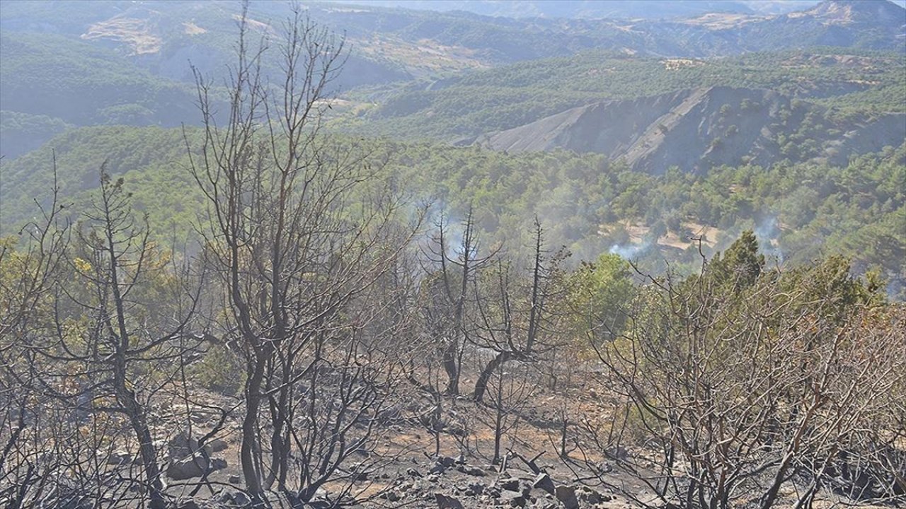 Adıyaman'da orman yangını!